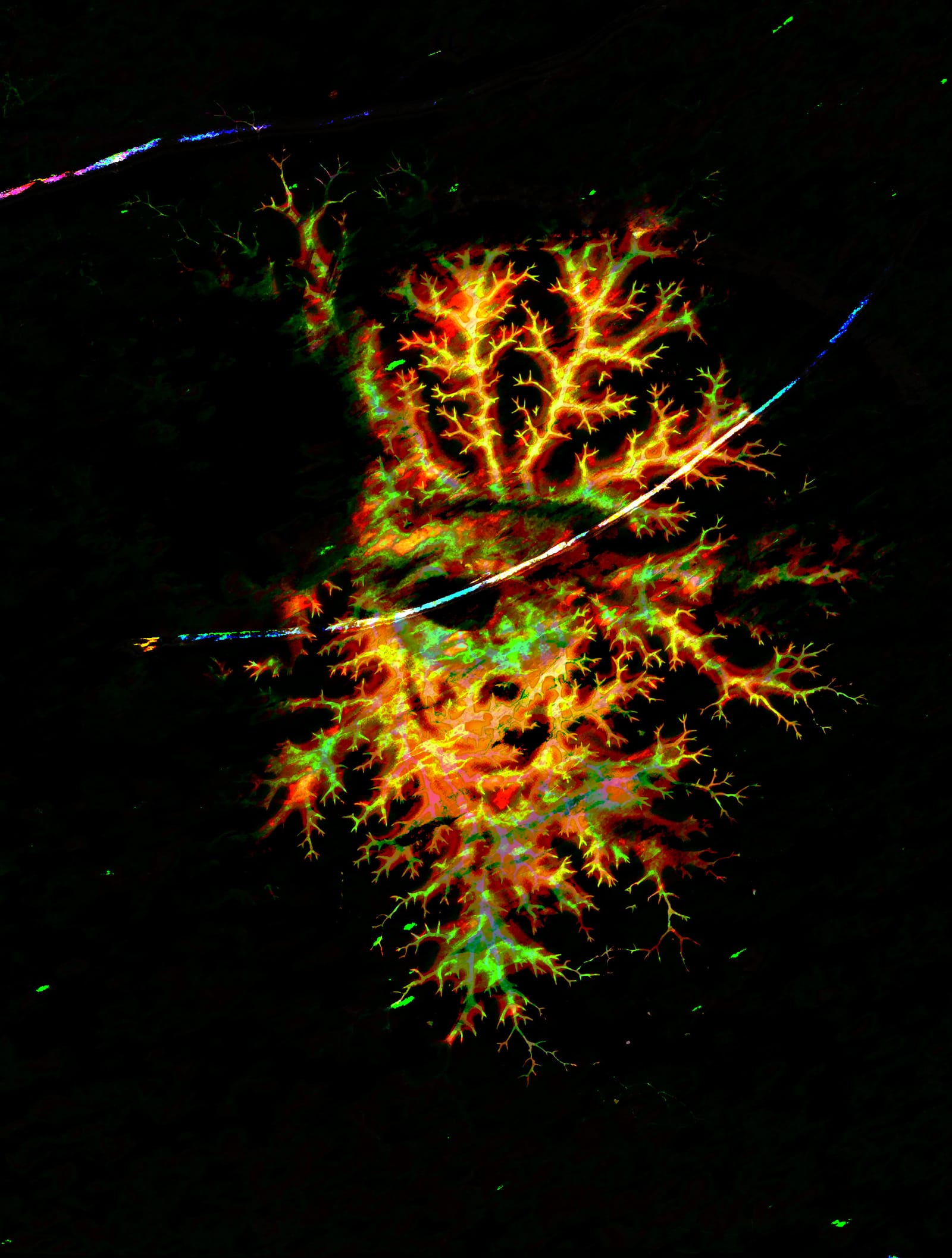 Lichtenberg glyph - power's fossil record